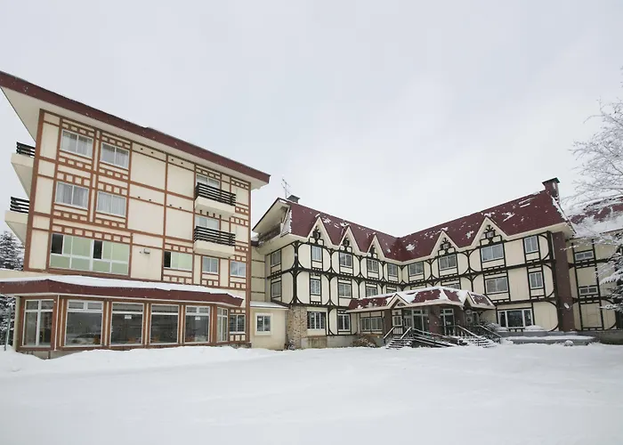 Rosenheim Hakuba Hotel