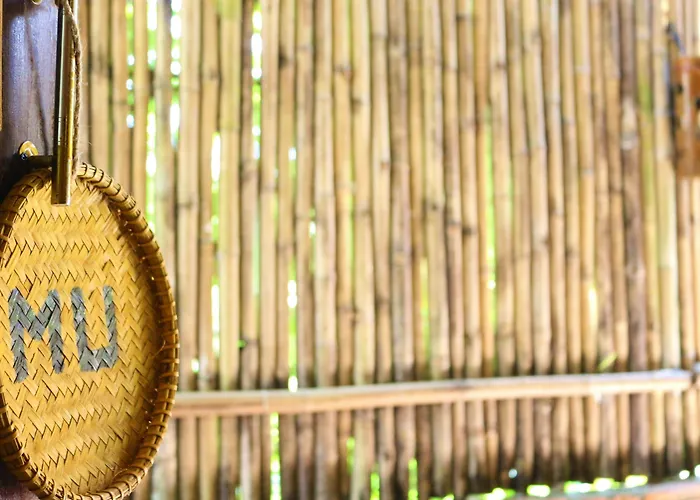 Hotel Under The Coconut Tree Hoi An