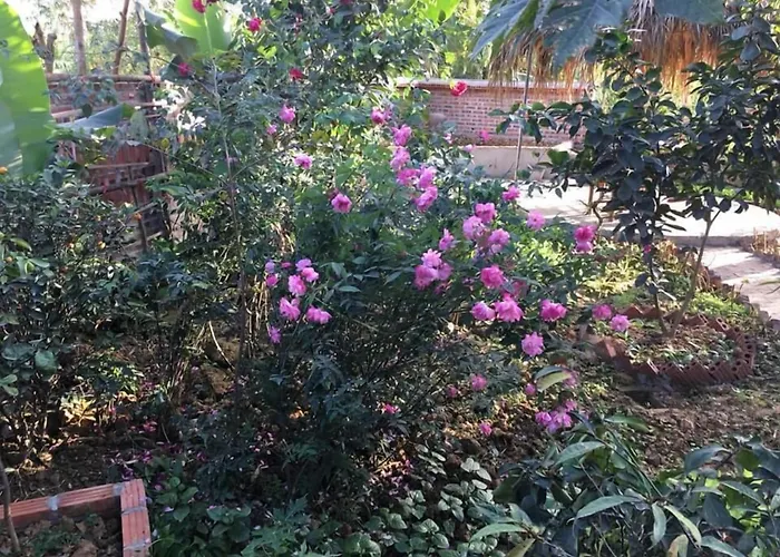 Van Long Family Homestay Ninh Bình