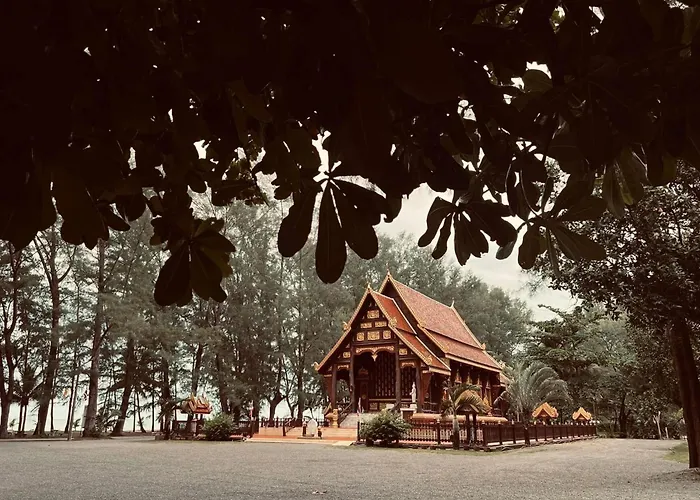 Turtle Tales-Mafueang,Turtle Beach,Phang-Nga