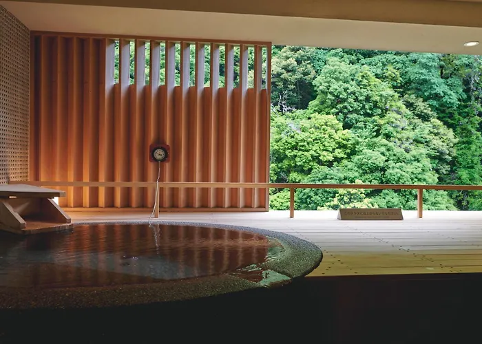 Hakone Pax Yoshino