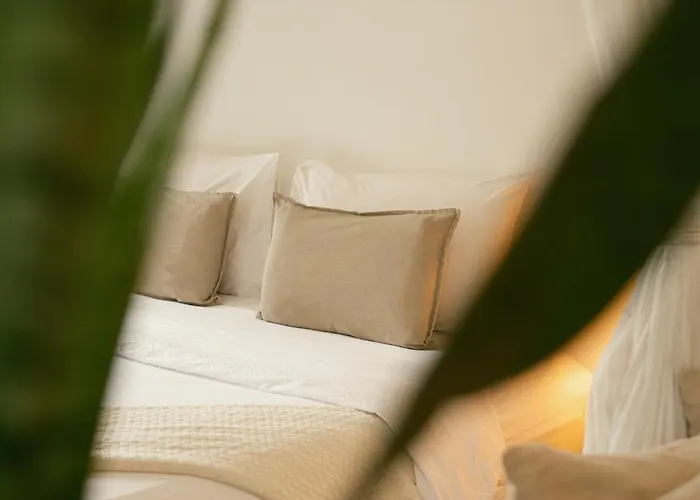 Big Tree Boutique Hotel Koh Tao