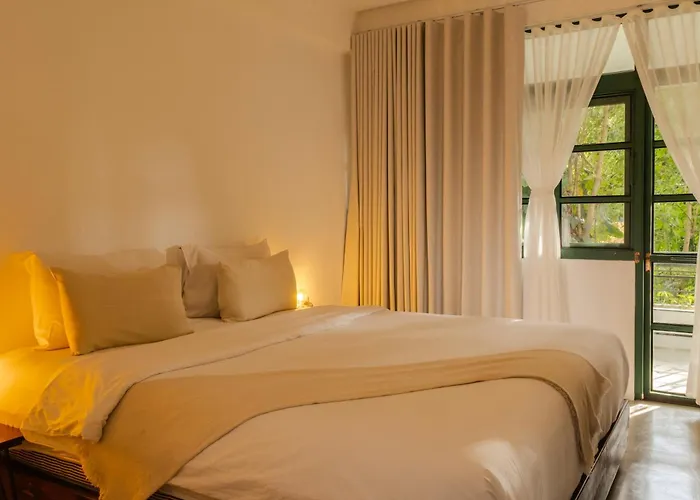 Big Tree Boutique Hotel Koh Tao