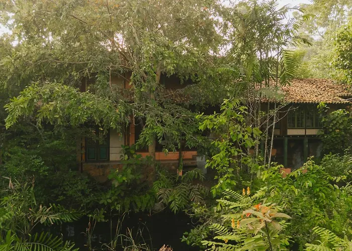 Sama Retreats - Kosgoda