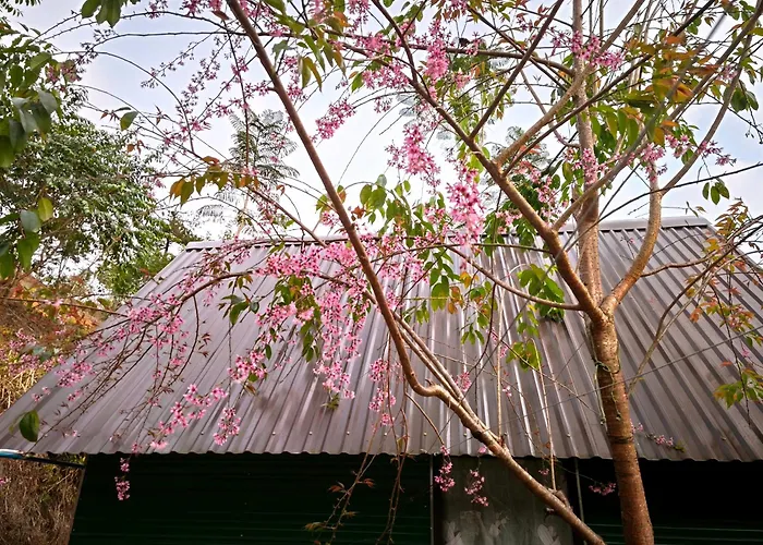 Homestay Ngo Nho