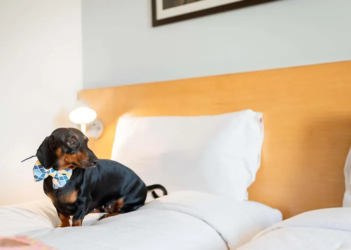 Ibis Chennai City Centre - An Accor Brand