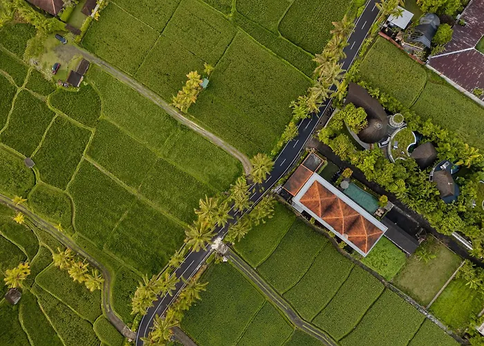 Paon Desa Ubud