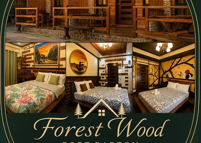 Forest Wood-Port Barton San Vicente 