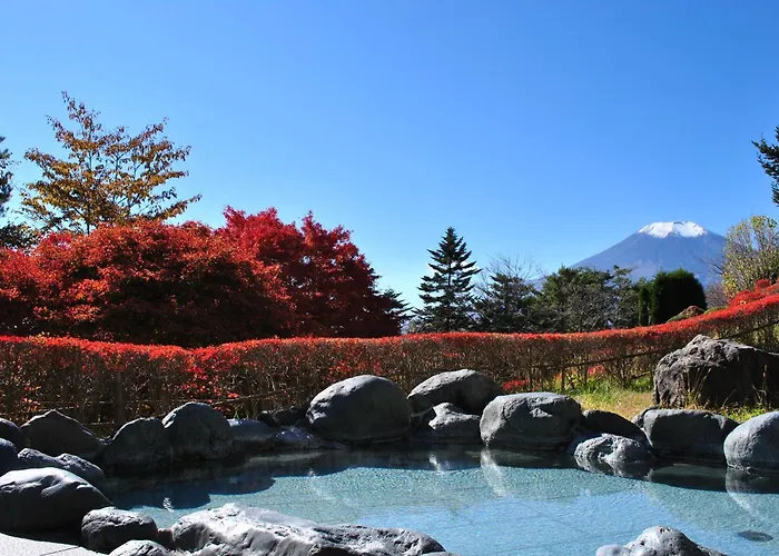 Hotel Mt. Fuji