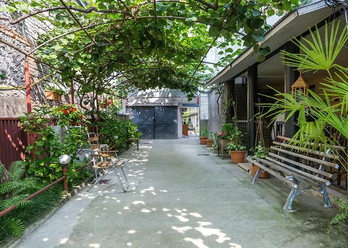 The Kiwi House