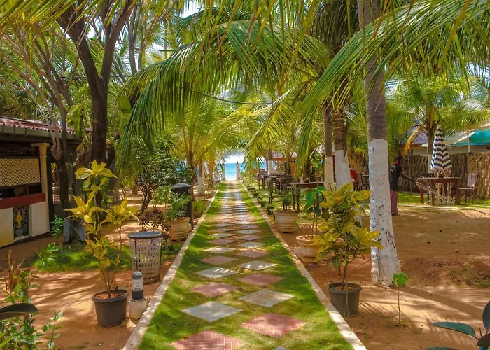 Coconut Beach Lodge